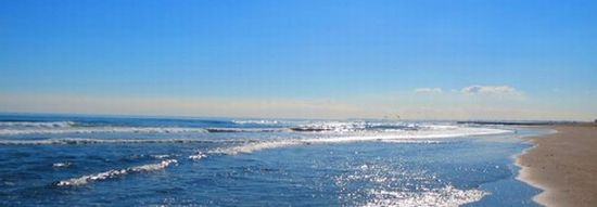 千葉借金相談弁護士選び方