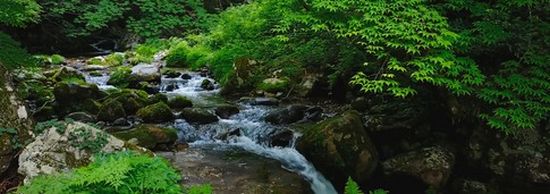 岡山県借金