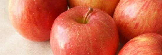 青森県債務整理借金理由