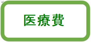 医療費（入院費・通院費）